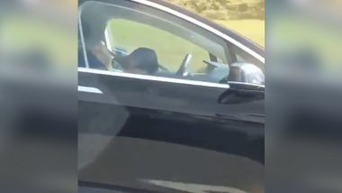 Driver and Passenger Caught Sleeping in Moving Vehicle: टेस्ला कार ड्राइवर और यात्री दोनों चलती गाड़ी में सोते हुए पाए गए, भड़के लोग, देखें वीडियो