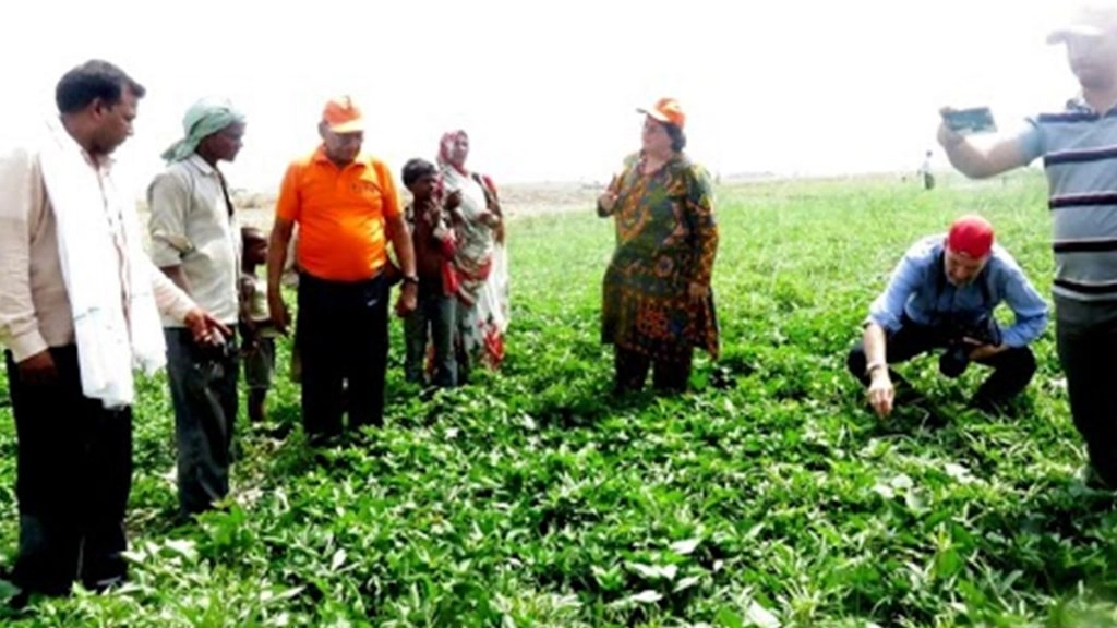 इस महोत्सव का उद्घाटन मुख्यमंत्री योगी आदित्यनाथ खुद करेंगे. 