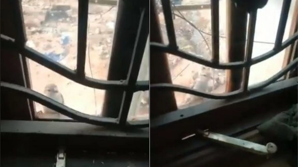 Viral Video: नन्ही चिड़िया खिड़की पर आकर अपनी चोंच से खटखटाने लगी उसका ग्लास, वजह जानकर हंस पड़ेंगे आप