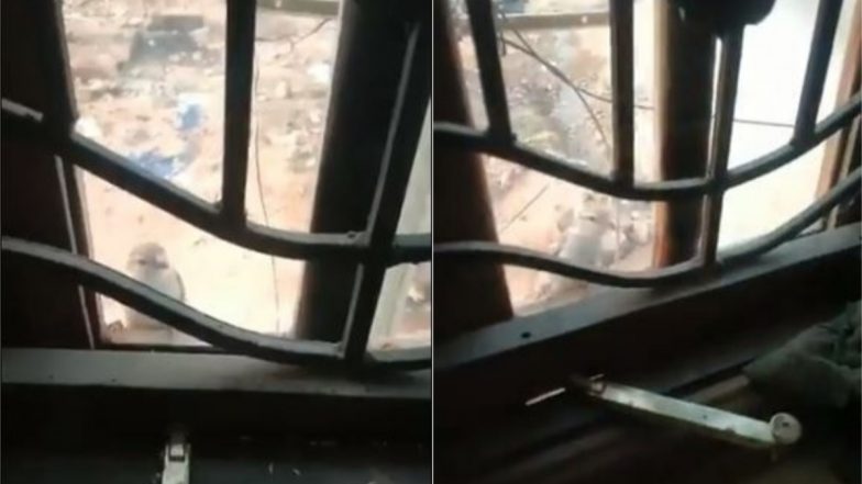 Viral Video: नन्ही चिड़िया खिड़की पर आकर अपनी चोंच से खटखटाने लगी उसका ग्लास, वजह जानकर हंस पड़ेंगे आप