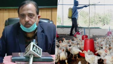 Bird Flu: बर्ड फ्लू को लेकर यूपी में प्रशासन अलर्ट, प्रयागराज DFO ने कहा-सभी जलाशयों पर हमारी नजर, मरा हुआ पक्षी दिखे तो सूचित करें