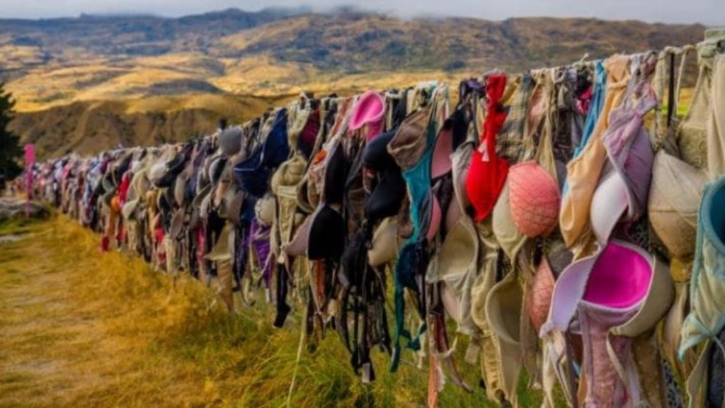 न्यूजीलैंड के इस शहर में है 'ब्रा' की लंबी दीवार, इसकी रोचक कहानी को जानने के लिए दुनिया भर से आते हैं पर्यटक