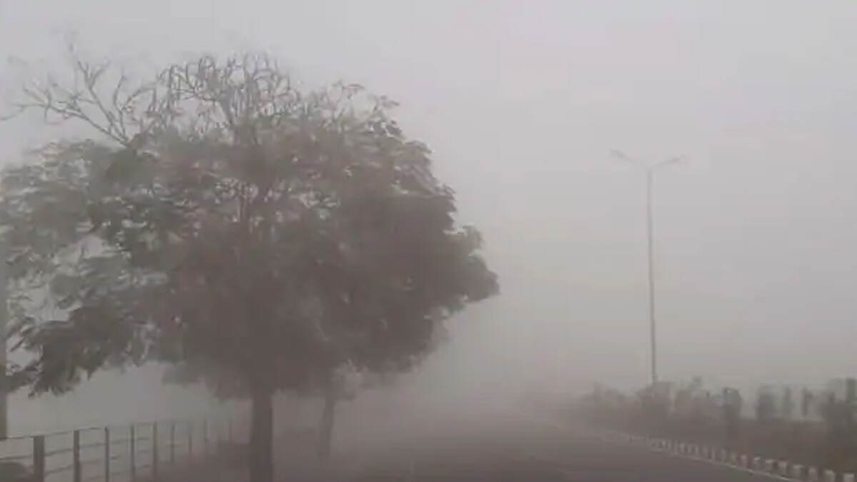 Weather Update: दिल्ली में न्यूनतम तापमान 6.4 डिग्री सेल्सियस, धूप खिली रहने की उम्मीद