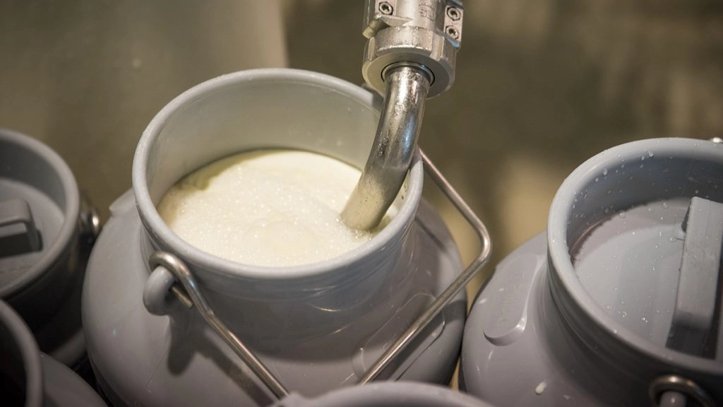 भैस का दूध बेचकर करोड़पति बनी 62 साल की नवलबेन, हर महीने कमाती हैं 3 लाख रुपये से ज्यादा