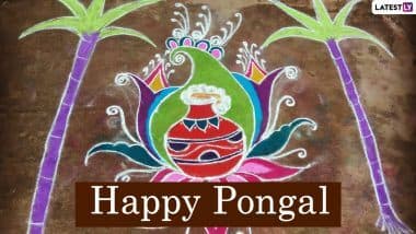 New Pongal Rangoli Designs 2021 & Muggulu Patterns: फसलों के त्योहार पोंगल पर बनाएं डॉट और पॉट वाली खूबसूरत रंगोली, देखें मनमोहक डिजाइन्स