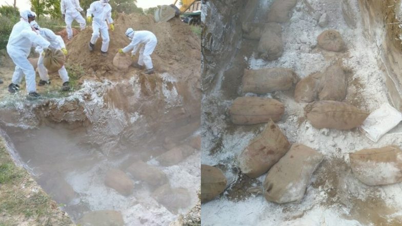 Madhya Pradesh: एमपी के 13 जिलों तक फैला बर्ड फ्लू, आगर में कुक्कुट बाजार 7 दिनों तक बंद