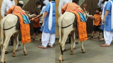 Taimur Ali Khan गौ माता को चारा खिलाते आए नजर, क्यूट Photos आई सामने