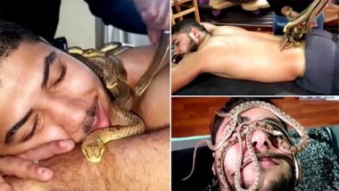 Snake Massages Video: मिस्र का ये स्पा देता है स्नेक मसाज, वीडियो देखकर दहल जाएगा दिल