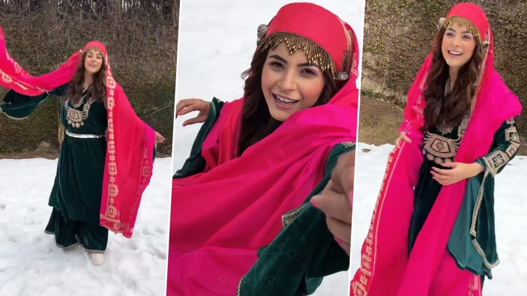 शहनाज गिल का मस्ती भरा वीडियो आया सामने 