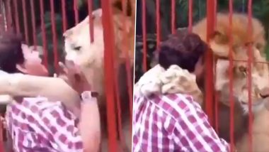 Viral Video: पिंजरे में कैद शेर ने अपने पास पहुंची महिला को झपट्टा मारकर ऐसे पकड़ा, वायरल वीडियो में देखें आगे क्या हुआ