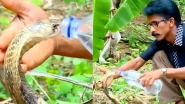 किंग कोबरा को लगी प्यास तो शख्स ने बोतल से पिलाया पानी, हैरान करने वाला वीडियो हुआ वायरल (Watch Viral Video)