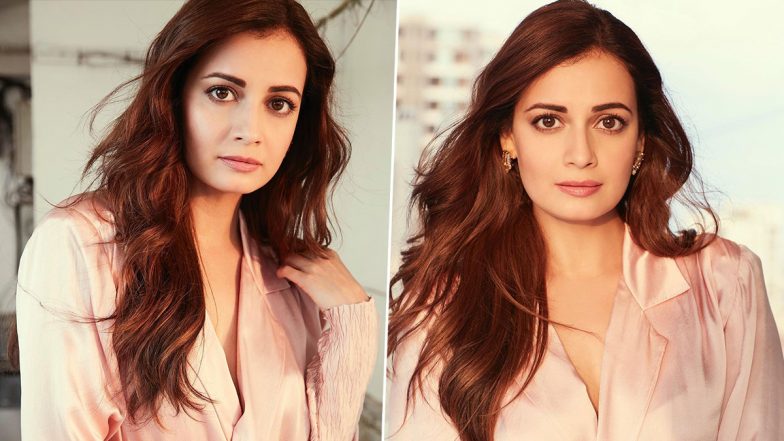 Dia Mirza करने जा रही हैं दूसरी शादी, मुंबई के बिजनसमैन Vaibhav Rekhi संग इस दिन लेंगी सात फेरे!