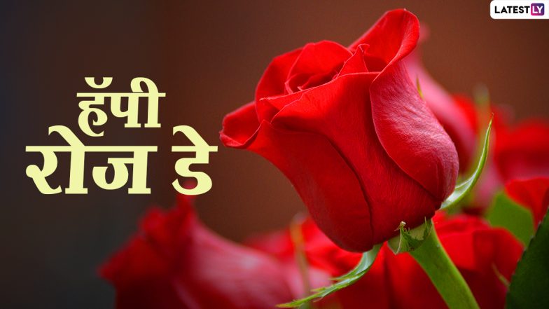 Happy Rose Day 2021 Greetings: हैप्पी रोज डे! इन प्यारे हिंदी Quotes, WhatsApp Status, Facebook Messages, GIF Images से इस दिन को बनाएं स्पेशल