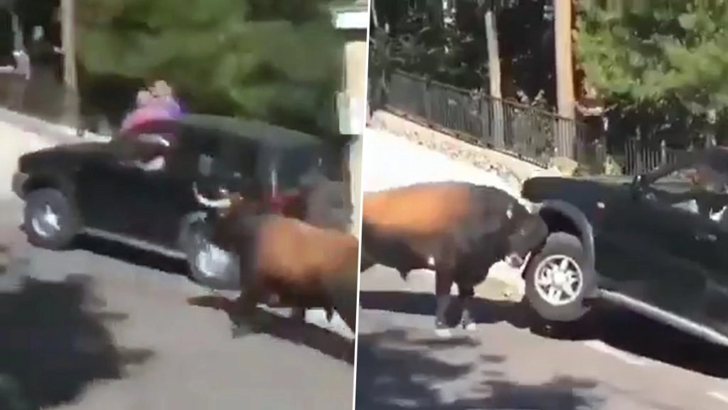 Viral Video: सांड को आया गुस्सा तो उसने सड़क किनारे खड़ी कार का किया ये हाल, वीडियो देख हो जाएंगे हैरान