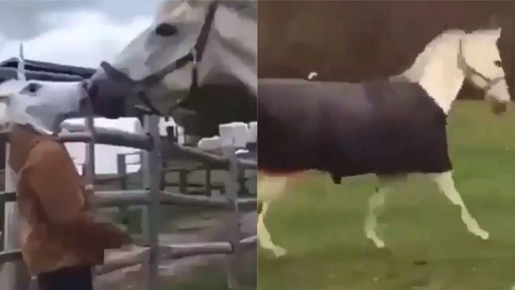 घोड़े का मुखौटा पहनकर घोड़े के सामने पहुंचा शख्स, फिर जो हुआ… उसे देख आप नहीं रोक पाएंगे अपनी हंसी