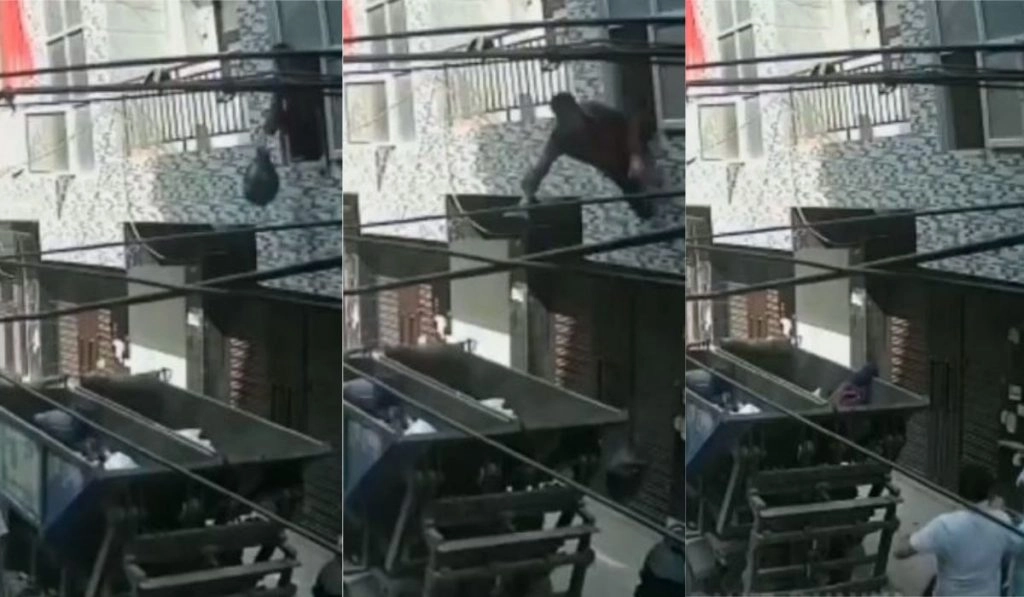 Viral Video: खिड़की से कचरा फेंकते समय खुद ही गाड़ी में गिर गया शख्स, वीडियो देख हंसी से लोटपोट हो जाएंगे आप