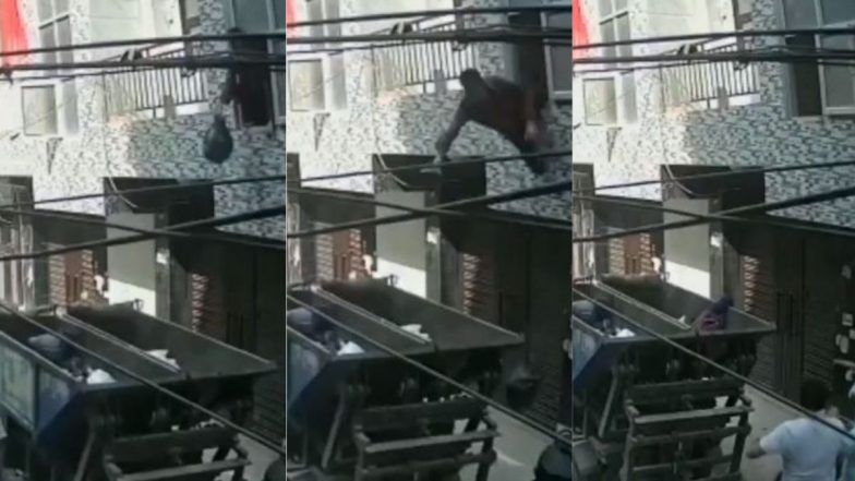 Viral Video: खिड़की से कचरा फेंकते समय खुद ही गाड़ी में गिर गया शख्स, वीडियो देख हंसी से लोटपोट हो जाएंगे आप