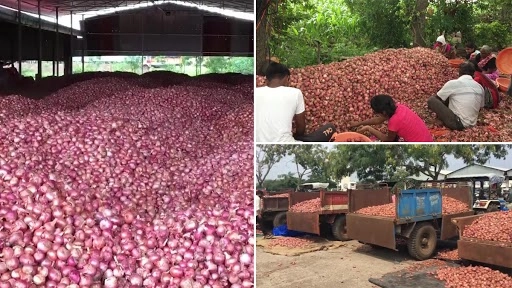 प्याज के दामों में लगातार बढ़ोतरी, लासलगांव मंडी में 4500 रुपये प्रति क्विंटल