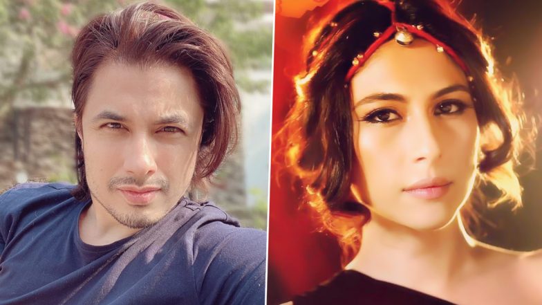 पाकिस्तानी एक्टर Ali Zafar पर Sexual Harassment का आरोप लगाने वाली Meesha Shafi को हुई 3 साल की जेल