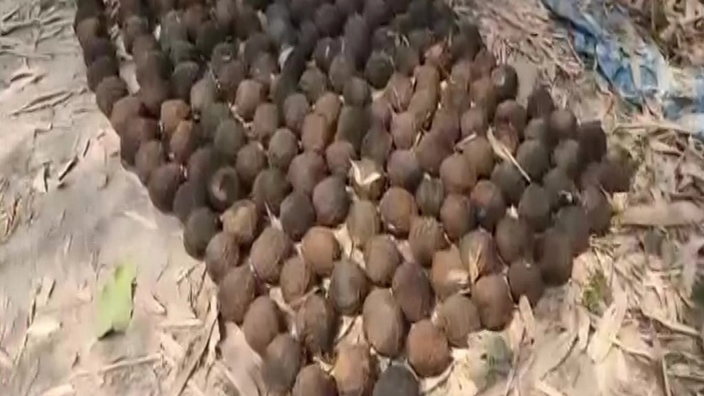 बंगाल के दक्षिण परगना 24 से 41 क्रूड बरामद 