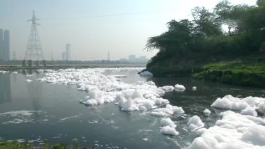 Toxic Foam in Yamuna: दिल्ली में यमुना नदी पर फैली जहरीली 'सफेद चादर',  Photos