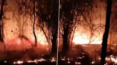 Bandhavgarh Tiger Reserve Fire: बांधवगढ़ टाइगर रिजर्व में लगी भीषण आग, 3 दिन बाद पाया गया काबू, देखें वीडियो