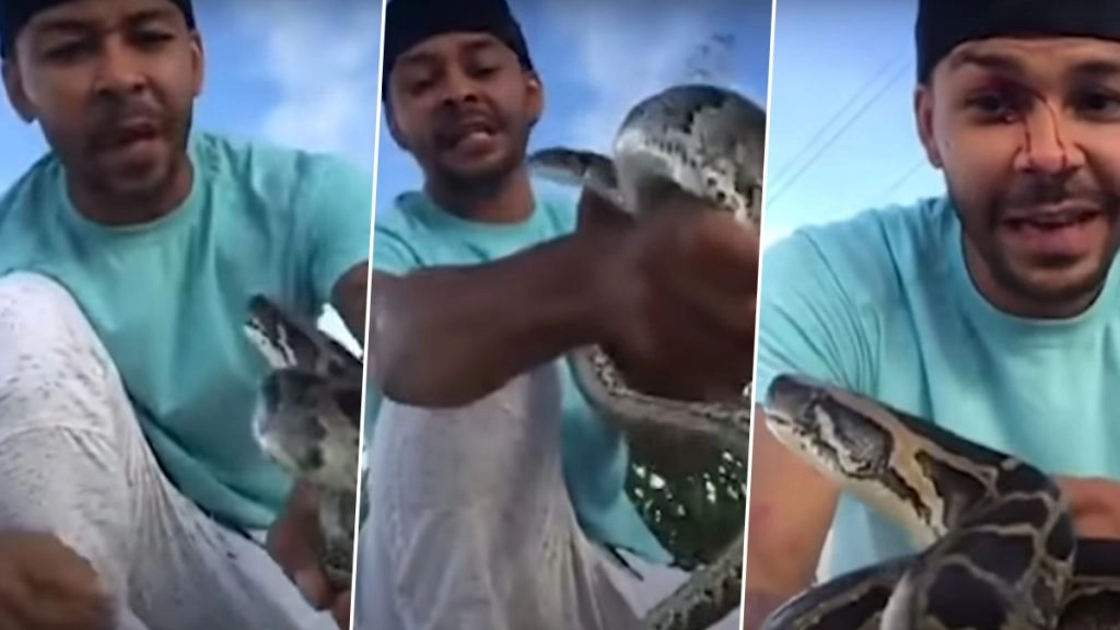 खतरनाक अजगर के साथ वीडियो बनाना शख्स को पड़ा भारी, सांप ने आंख पर किया अटैक फिर… (Watch Viral Video)