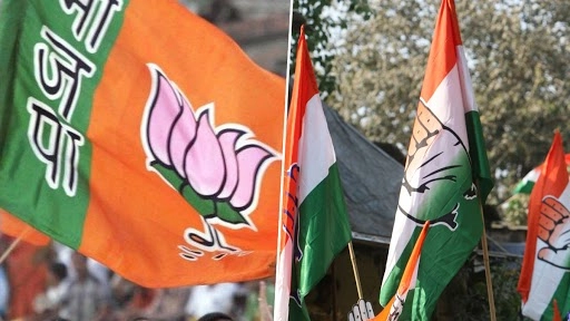 गुजरात निकाय चुनाव में बीजेपी को मिली बड़ी जीत, वही कांग्रेस को हार का मुंह देखना पड़ा है.
