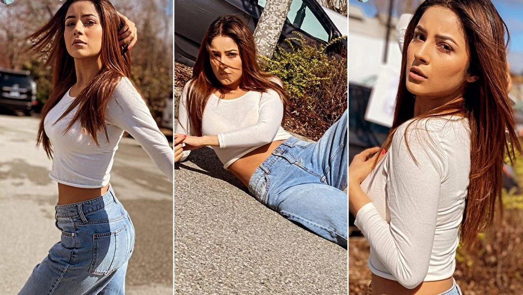 इंटरनेट पर खूब अटेंशन पा रही हैं बिग बॉस 13 फेम शहनाज गिल, हॉट फोटोशूट हुआ वायरल