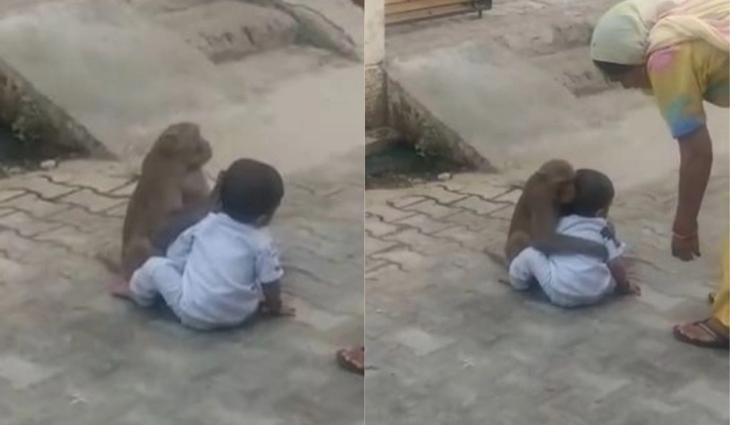 Viral Video: छोटे बच्चे से लिपट कर बीच सड़क पर प्यार जताने लगा बंदर, मनमोहक वीडियो हुआ वायरल