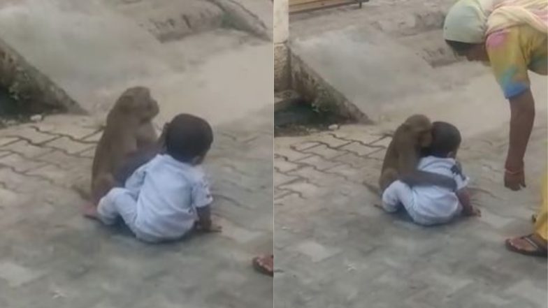 Viral Video: छोटे बच्चे से लिपट कर बीच सड़क पर प्यार जताने लगा बंदर, मनमोहक वीडियो हुआ वायरल