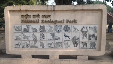 Delhi Zoo To Reopen: कोरोना काल में जानवरों के व्यवहार में हुए सकारात्मक बदलाव, चिड़ियाघर का नजारा भी हुआ अलग