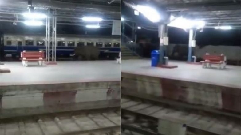 Viral Video: जब अचानक रेलवे स्टेशन पर आ पहुंचा हाथी और पटरी पर लगाने लगा दौड़, वीडियो में देखें आगे क्या हुआ?