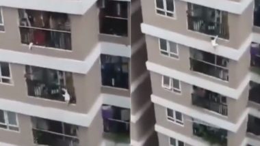Viral Video: इमारत की 12वीं मंजिल की बालकनी से नीचे गिरी बच्ची, डिलीवरी ड्राइवर ने ऐसे बचाई उसकी जान