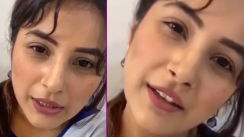 इस महीने के आखिरी तक शूटिंग शुरू करेंगी Shehnaaz Gill? हर किसी को है उनकी वापसी का इंतजार
