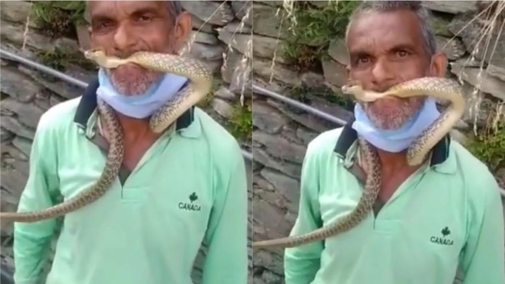 खतरनाक सांप के साथ एक शख्स किया ऐसा करतब, Viral Video देख चकरा जाएगा आपका सिर