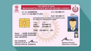 Driving Licence Validity Extended: सरकार ने ड्राइविंग लाइसेंस, वाहन दस्तावेजों की वैधता सितंबर तक बढ़ाई