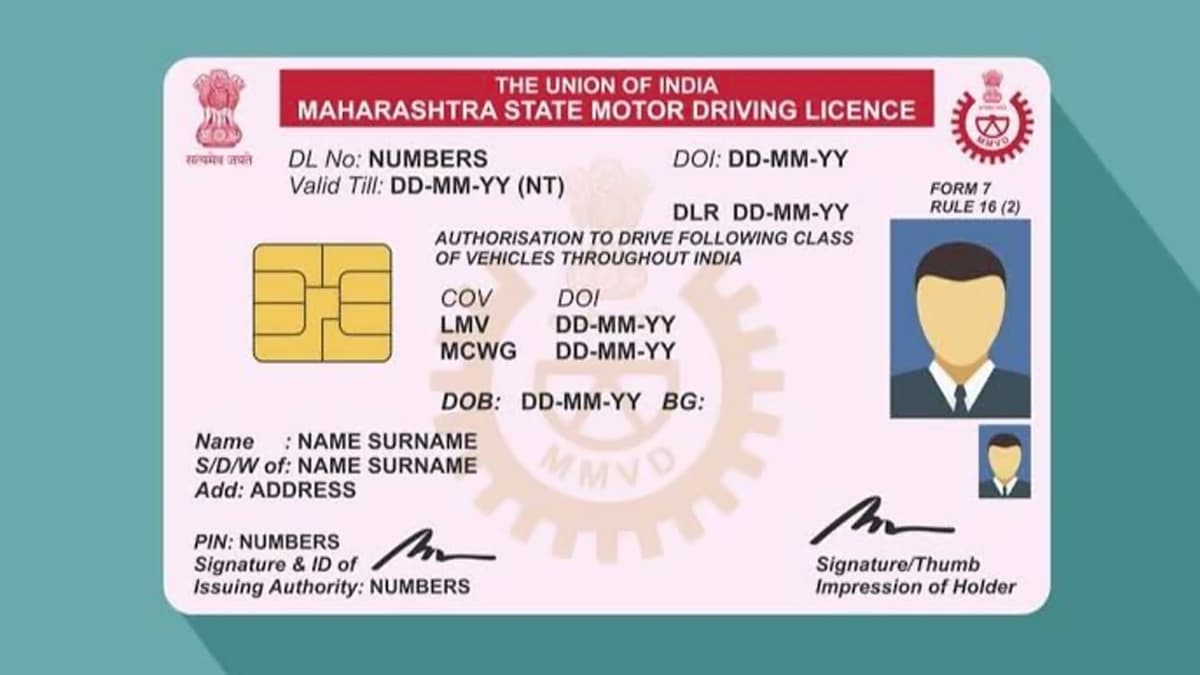 fake driving licence india online