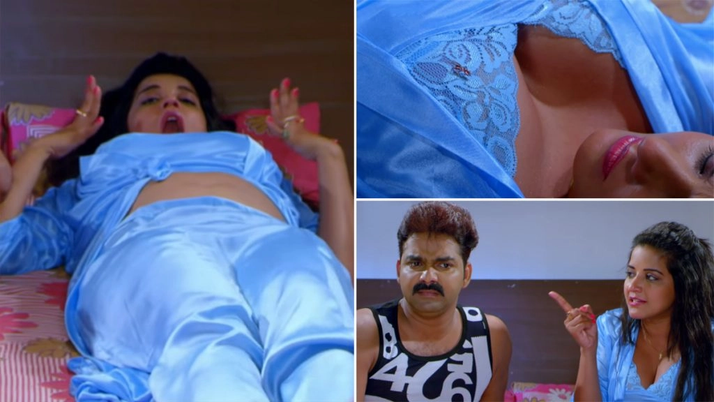 मोनालिसा और पवन सिंह का वीडियो हुआ वायरल 