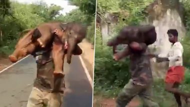 कीचड़ में फंसे नन्हे हाथी को रेस्क्यू करने के बाद उसे कंधे पर लेकर दौड़ा शख्स, बार-बार देखा जा रहा है यह Viral Video