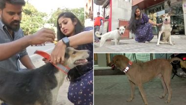 Telangana: हैदराबाद की एनजीओ ने सड़क दुर्घटनाओं से कुत्तों को बचाने के लिए फ्लोरोसेंट कॉलर बनाए