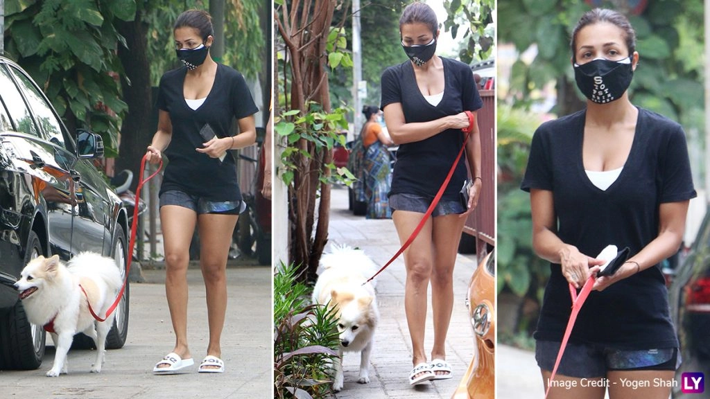 अर्जुन कपूर नहीं बल्कि इस खास दोस्त के साथ मलाइका अरोड़ा निकली मॉर्निंग पर, देखें ये लेटेस्ट हॉट फोटोज