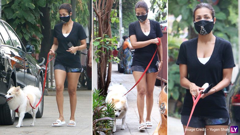 Arjun Kapoor नहीं बल्कि इस खास दोस्त के साथ Malaika Arora निकली मॉर्निंग पर, देखें ये लेटेस्ट Hot Photos