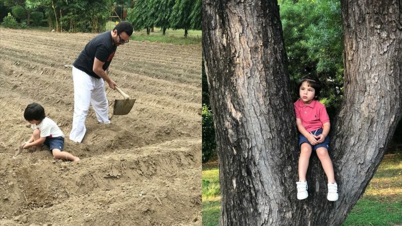 बेटे Taimur के साथ खेती-बाड़ी करते दिखाई दिए Saif Ali Khan, करीना ने फोटो की शेयर