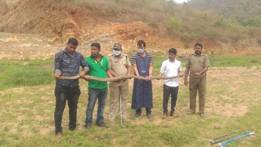 Odisha: कटक के बादंबा गांव में मिला 14 फुट लंबा किंग कोबरा, सांप को रेस्क्यू कर तालचंद्रगिरी रिजर्व फॉरेस्ट में छोड़ा गया