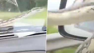 ड्राइव करते समय कार के सामने वाले शीशे पर अचानक आया जहरीला सांप, Viral Video में देखें आगे क्या हुआ