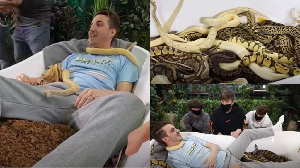 डरावने सांपों पर बैठने का ये वीडियो हो रहा है वायरल, वजह जानकर आप कहेंगे 'वाह बेटा'