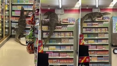 Giant Monitor Lizard Shopping: विशाल मॉनिटर छिपकली घुसी थाई सुपरमार्केट में, चढ़ी अलमारियों पर, देखें वायरल वीडियो