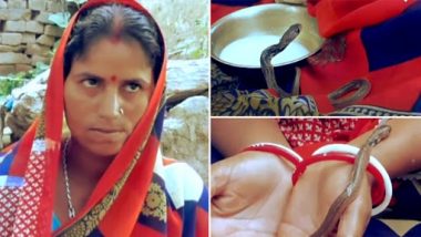 Woman Gave Birth to Snakes? बिहार की महिला का दावा, 3 सांपों के बच्चों को दिया जन्म, देखें हैरान कर देने वाला वीडियो