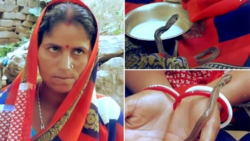 बिहार की महिला का दावा, 3 सांपों के बच्चों को दिया जन्म, देखें हैरान कर देने वाला वीडियो
